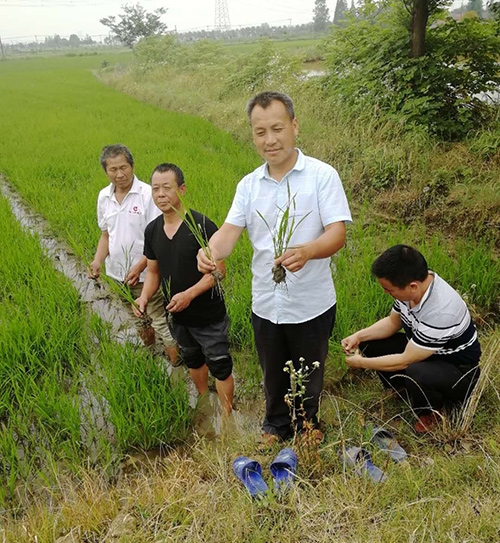 優(yōu)質(zhì)糧食訂單基地