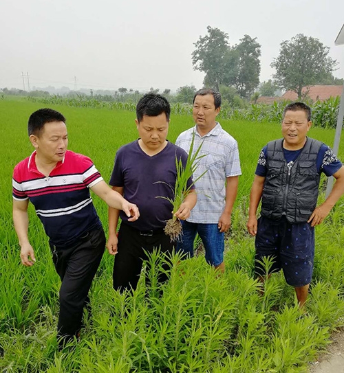 優(yōu)質(zhì)糧食訂單基地