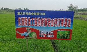 熱烈慶祝湖北共發(fā)米業(yè)有限公司官網(wǎng)上線(xiàn)啦！