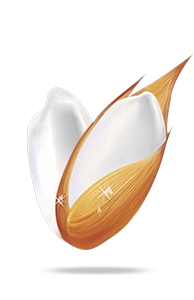 品牌優(yōu)勢(shì)